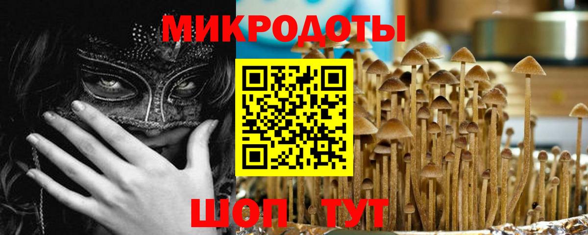 Псилоцибиновые грибы мицелий Горячий Ключ